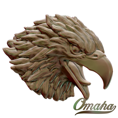 Custom derby cover design - Eagle head