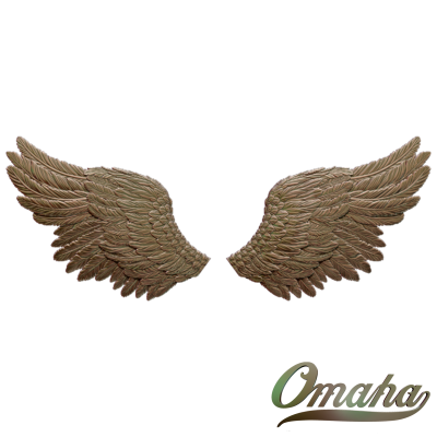angel wings