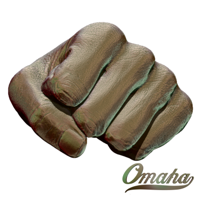 fist
