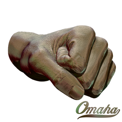 fist