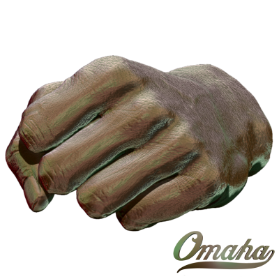 fist