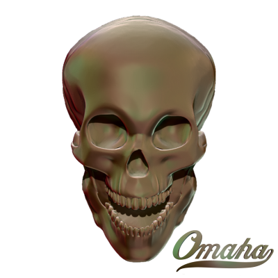 natural skull