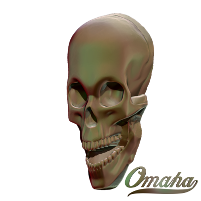natural skull