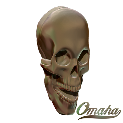 natural skull
