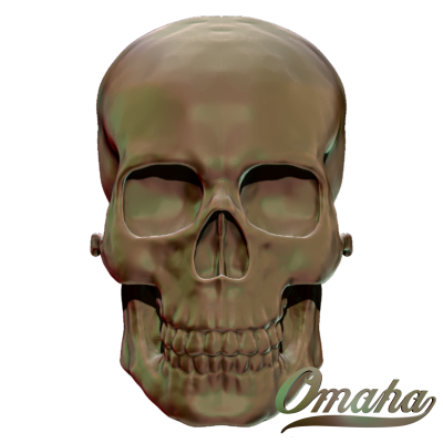 roger skull