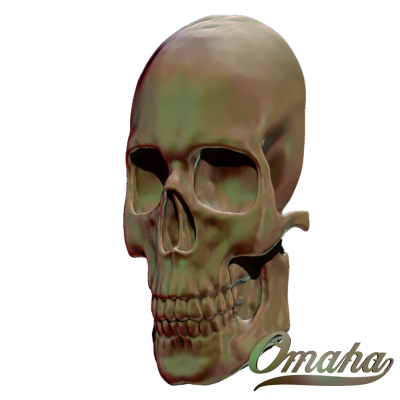 skull