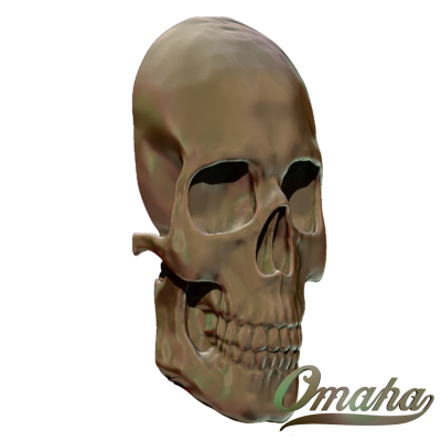 skull
