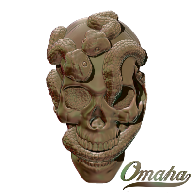 snake skull