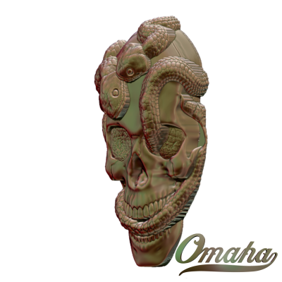 snake skull