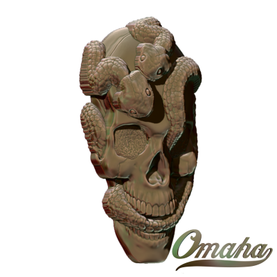 snake skull