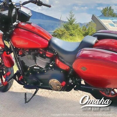 Harley Davidson El Diablo motorcycle customized with decorative derby cover from Omaha Derby Covers