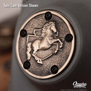 Custom timing cover for harley davidson twin cam motor with Iron Horse design