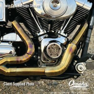 Custom Timing Cover - Gadsden Flag - Dont Tread On Me