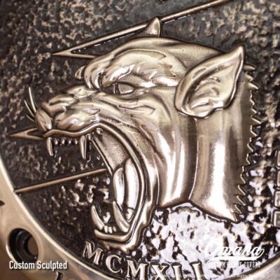 Custom Derby Cover for Harley-Davidson. Aeronautica Militare - Pantere Nere - Italian Air Force