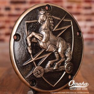 US Army 10th Special Forces Group Trojan Horse Custom Derby Cover